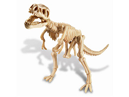 T-Rex - skládací kostra