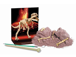 T-Rex - skládací kostra