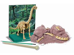 Brachiosaurus - skládací kostra