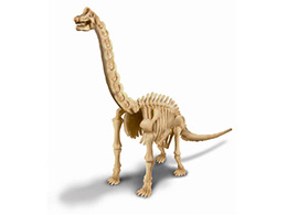 Brachiosaurus - skládací kostra