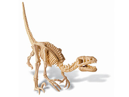 Velociraptor - skládací kostra