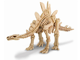 Stegosaurus - skládací kostra