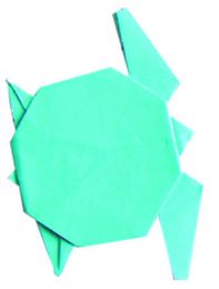Origami - Mořský svět