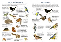 Začínáme vystřihovat - vystřihovánky - Zahrada