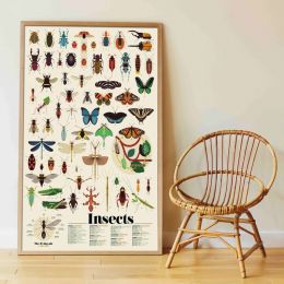 Naučný samolepkový plakát Hmyz