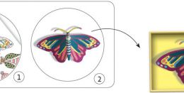 Výtvarná sada Sbírka hmyzu s 3D efektem