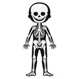 Lidské tělo - naučné puzzle 50-75-100 ks