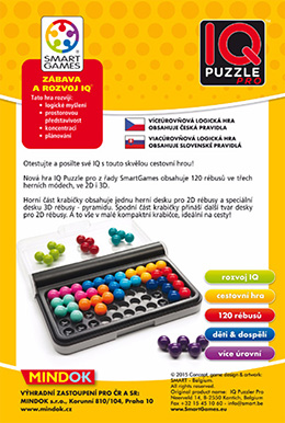 IQ Puzzle Pro Smart Games