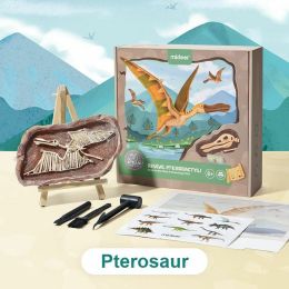Vykopávání dinosaurů - Pterosaurus - 0 1 Vykopávání dinosaurů - Pterosaurus - 0 1