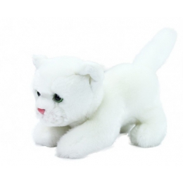 Plyšová kočka bílá - 0 ks