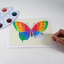 Akvarelové malování - Motýli