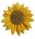 Plyšová slunečnice Sunflower - 0 ks